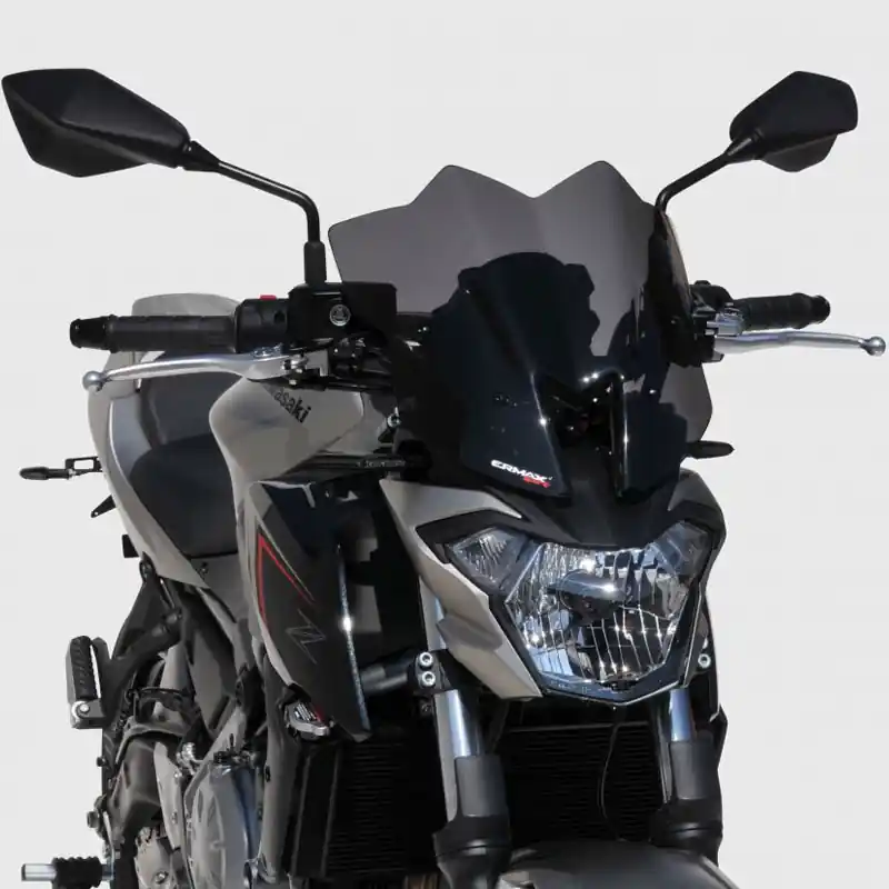 Cupula deportiva Ermax Kawasaki Z650 17-19 Solo Hoy