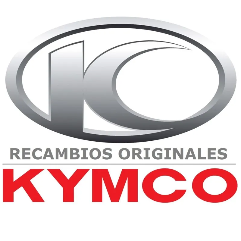 RECAMBIO KYMCO RELE INTERMITENCIA 38301-GS7-03 Envío Inmediato